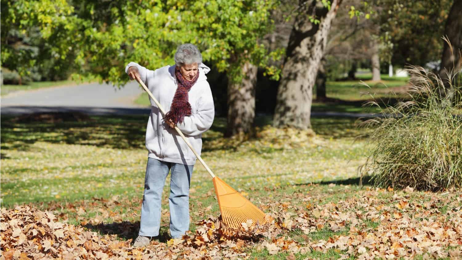 Dream Meaning of Cleaning Leaves