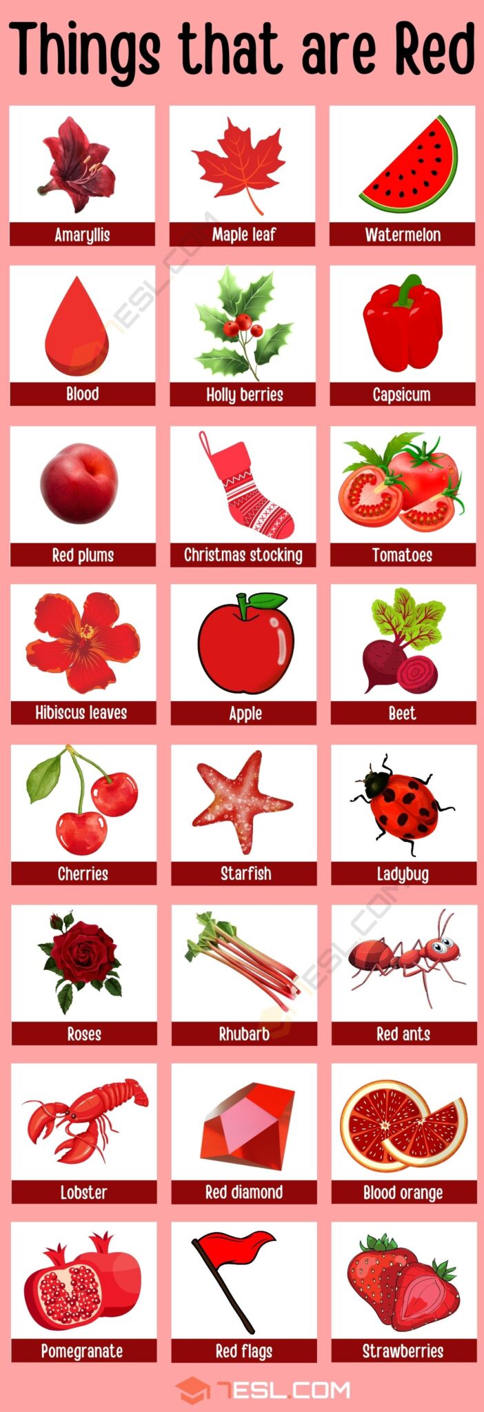 Dream Meaning of Color Red On Something