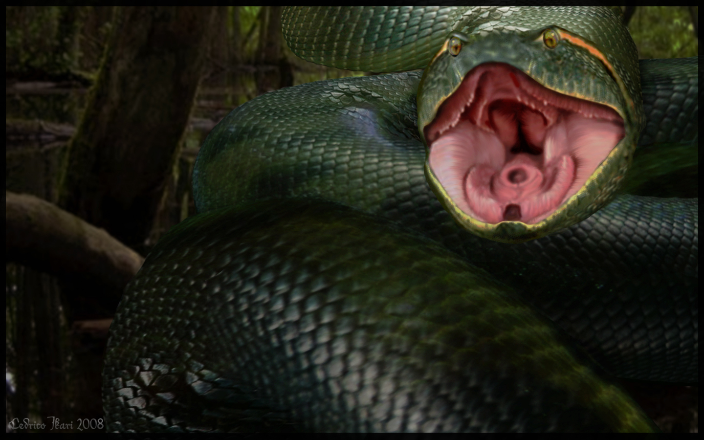 Dream Meaning of A Big Anaconda