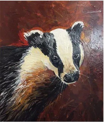 Dream Meaning of Badgers