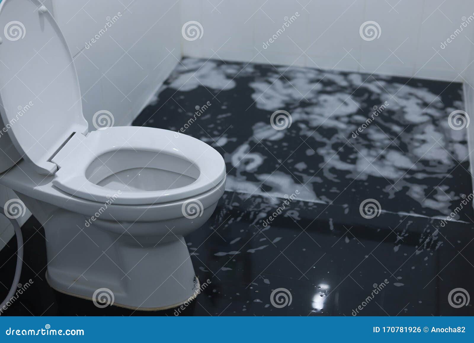 Dream Meaning of A Flooding Bathroom