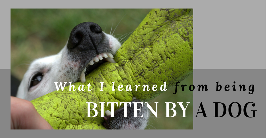 Dream Meaning of Bitten By A Dog