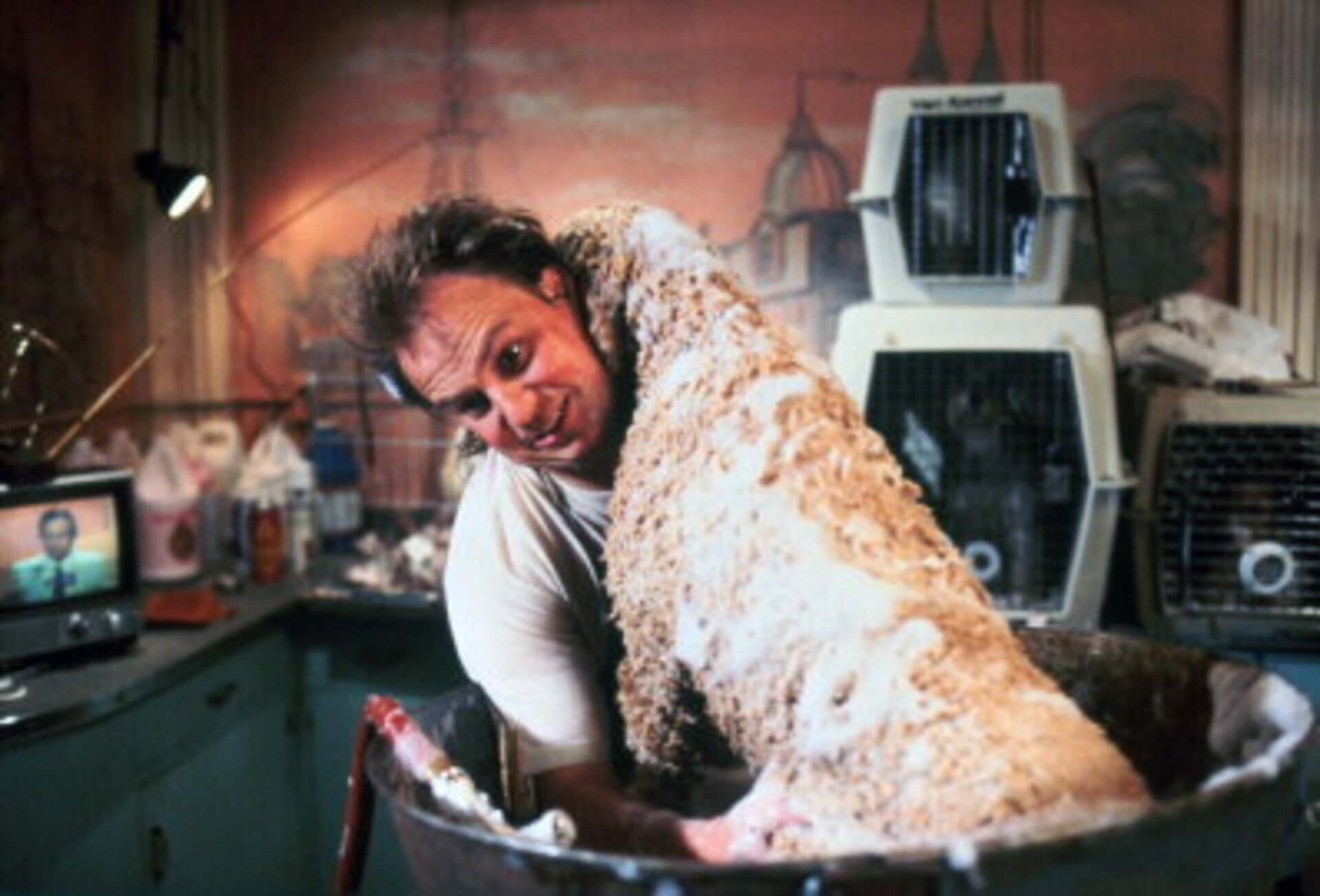 Dream Meaning of A Burglar