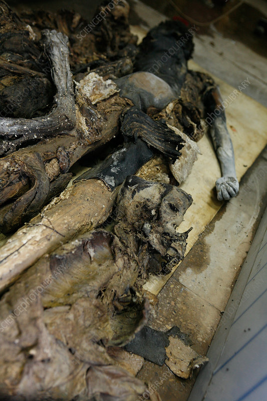 Dream Meaning of Decomposed Body