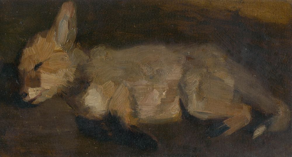 Dream Meaning of A Dead Fox