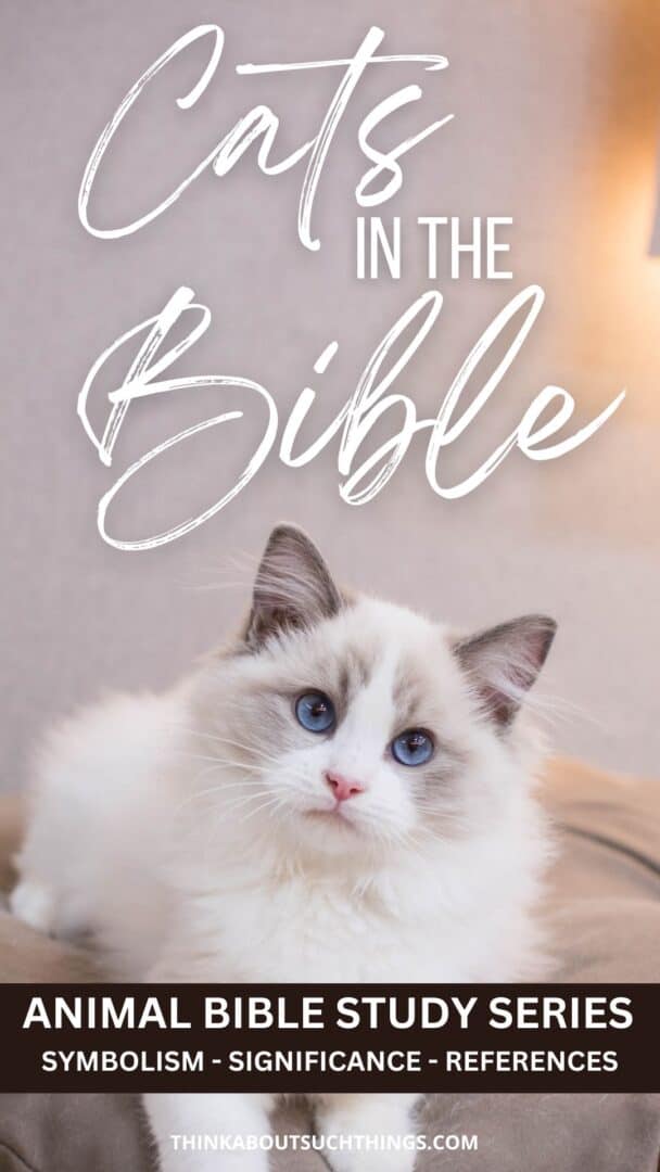 Dream Meaning of Cats Bible