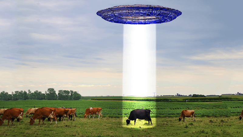 Dream Meaning of A Goat Coming Out Of A Ufo