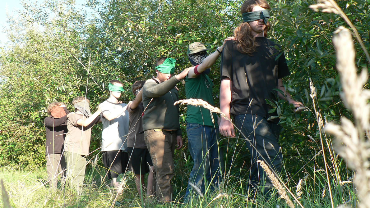 Dream Meaning of Bees Sting