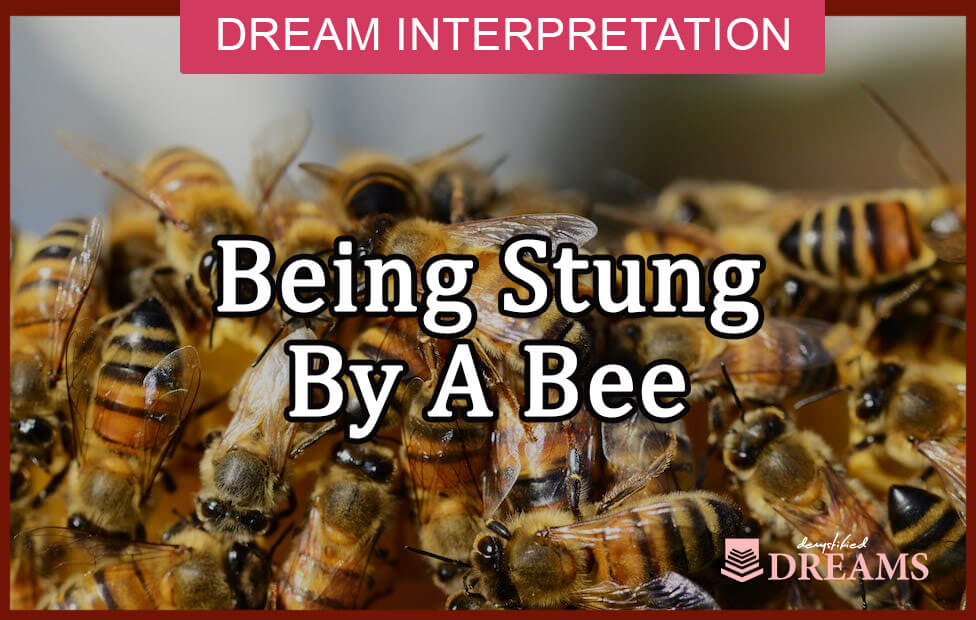 Dream Meaning of Being Stung By A Bee