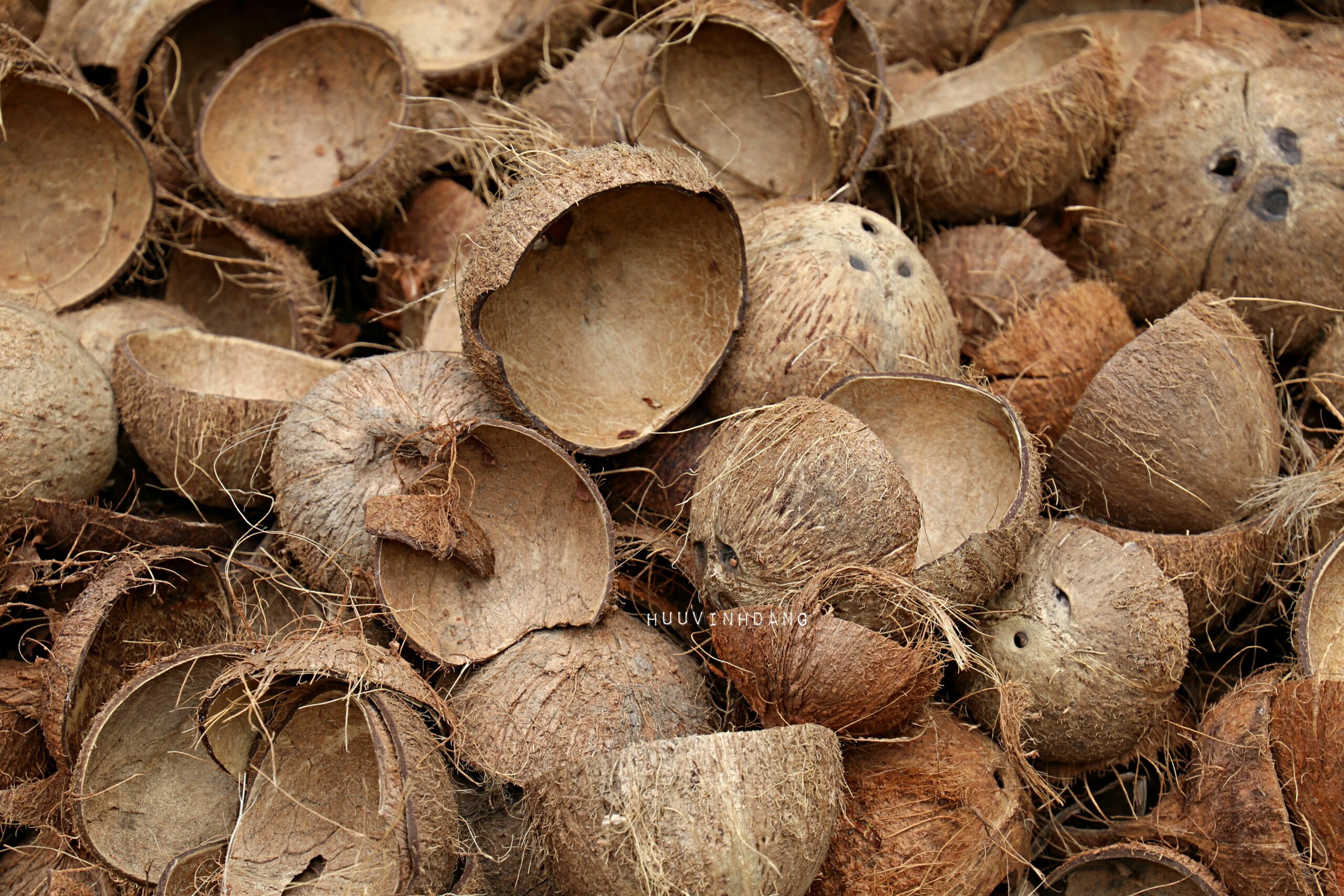 Dream Meaning of Coconut Shell