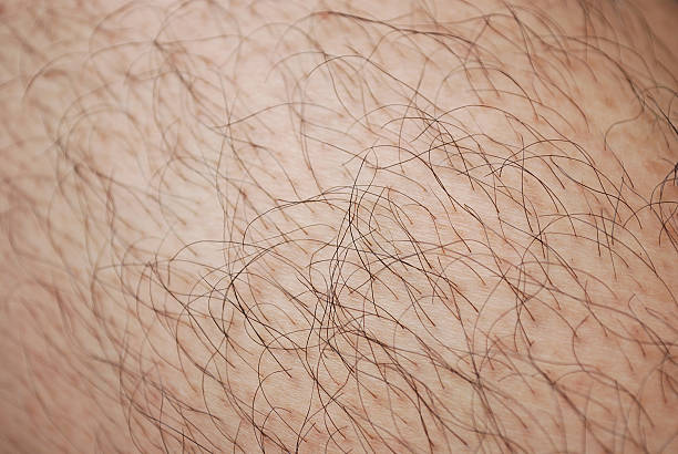 Dream Meaning of A Hairy Body