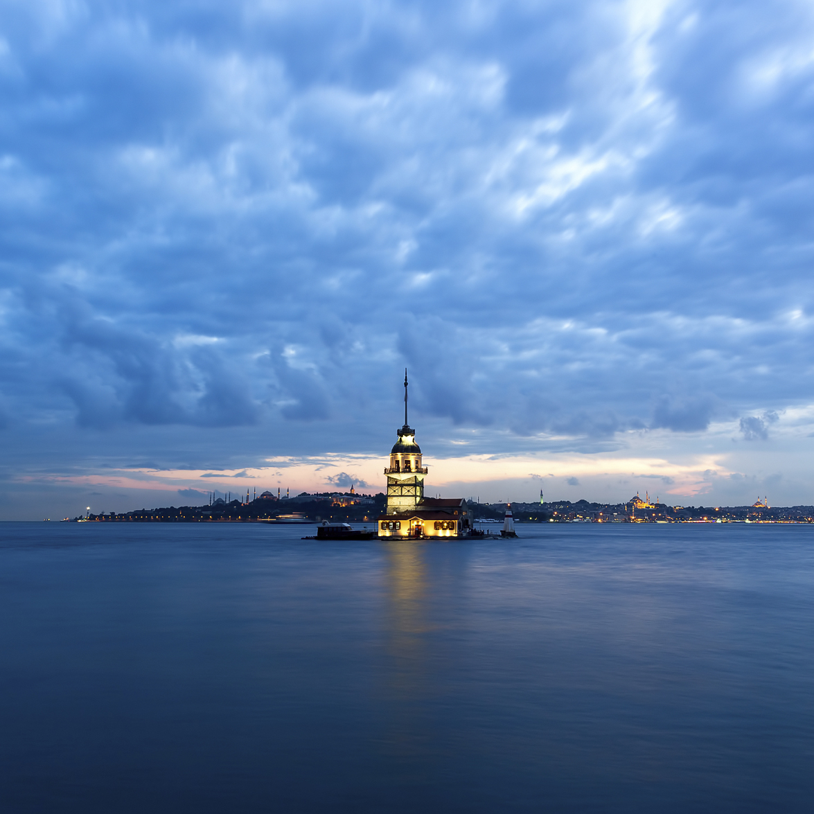 Dream Meaning of A Turkey