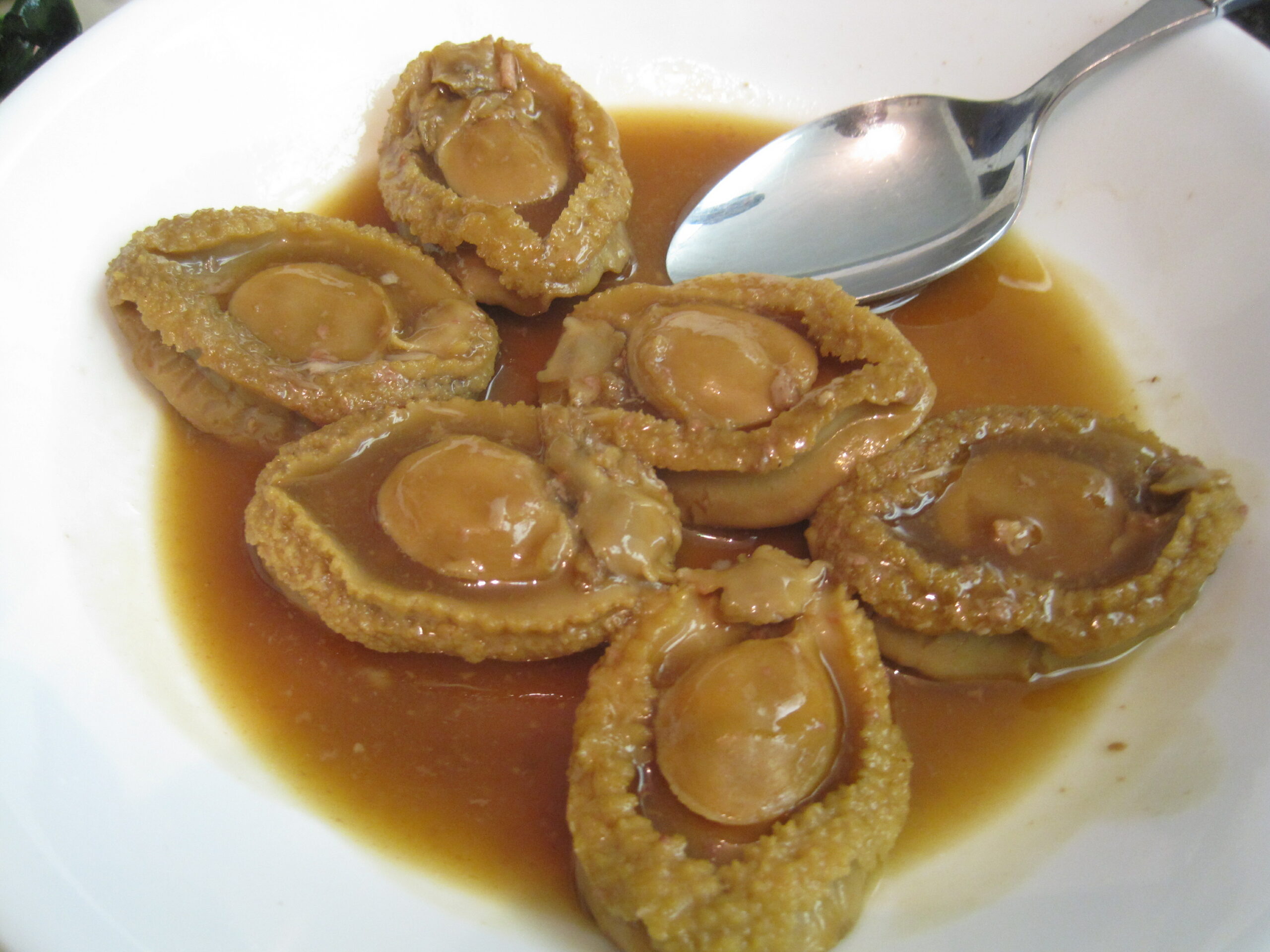 Dream Meaning of Abalone