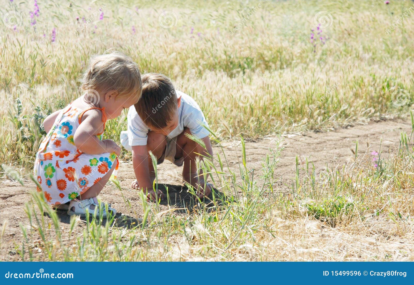 Dream Meaning of Catching Grasshoppers