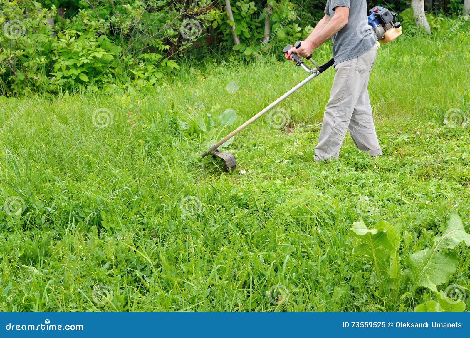 Dream Meaning of Clearing Grass