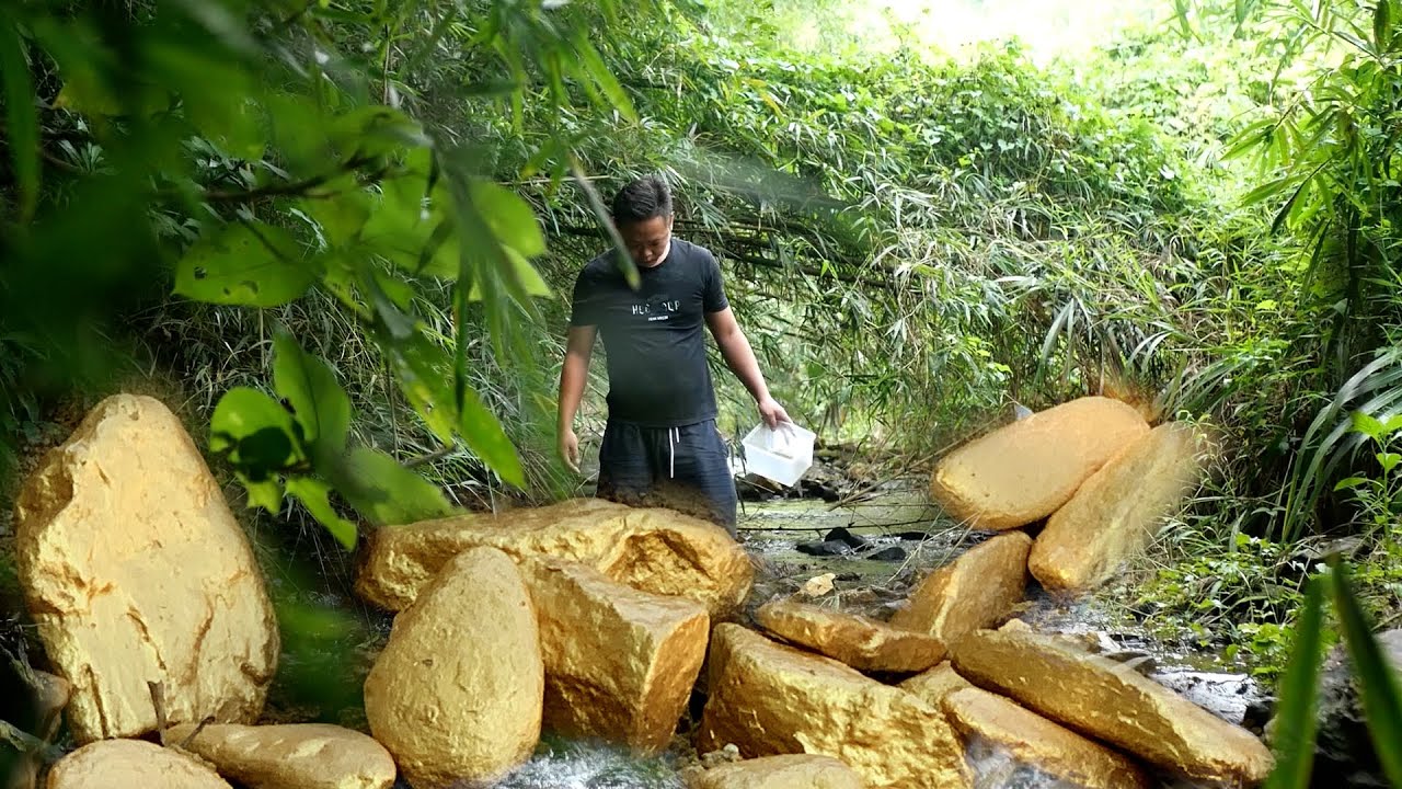 Dream Meaning of Digging Gold