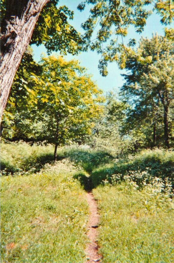 Dream Meaning of A Path