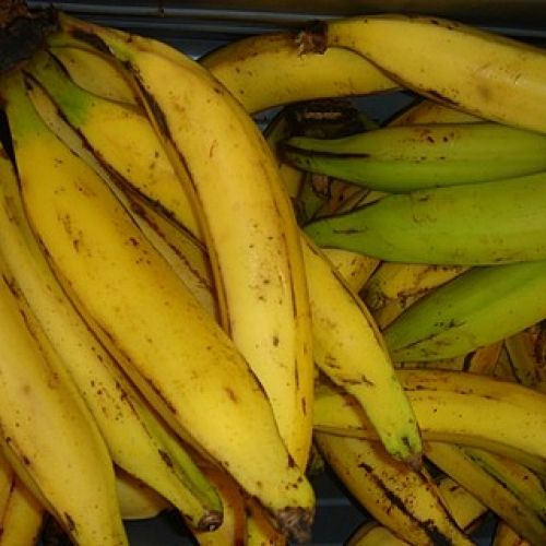 Dream Meaning of Buying Ripe Plantain