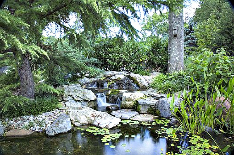 Dream Meaning of A Pond