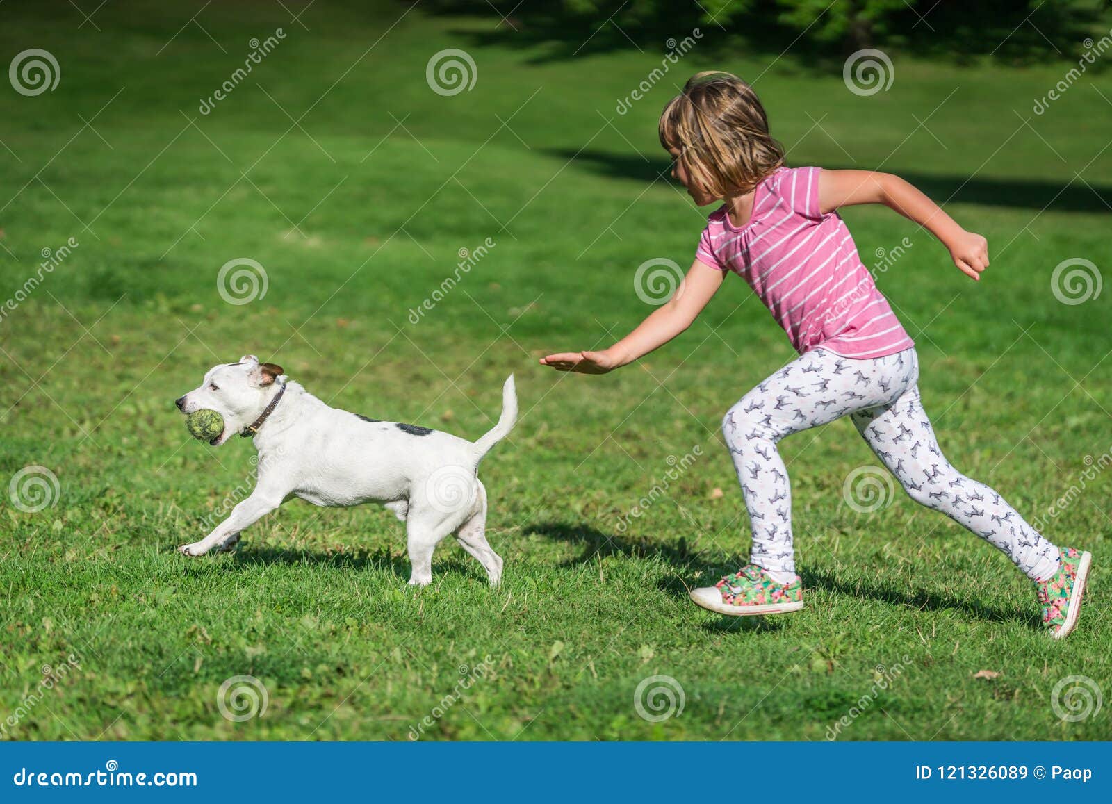 Dream Meaning of Chasing A Dog