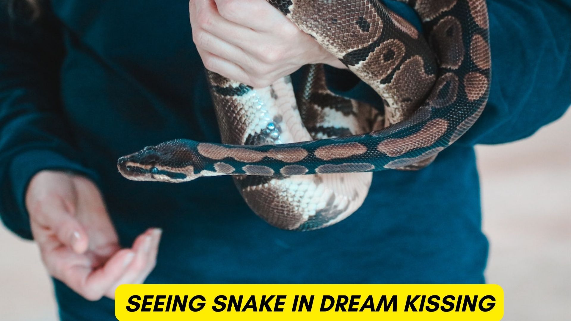 Dream Meaning of A Snake Kissing You