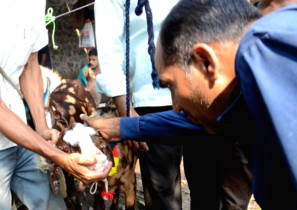 Dream Meaning of Being Sold To A Goat