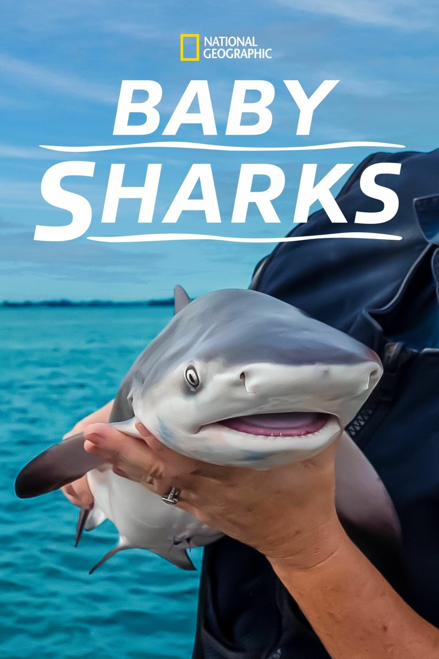 Dream Meaning of Baby Sharks