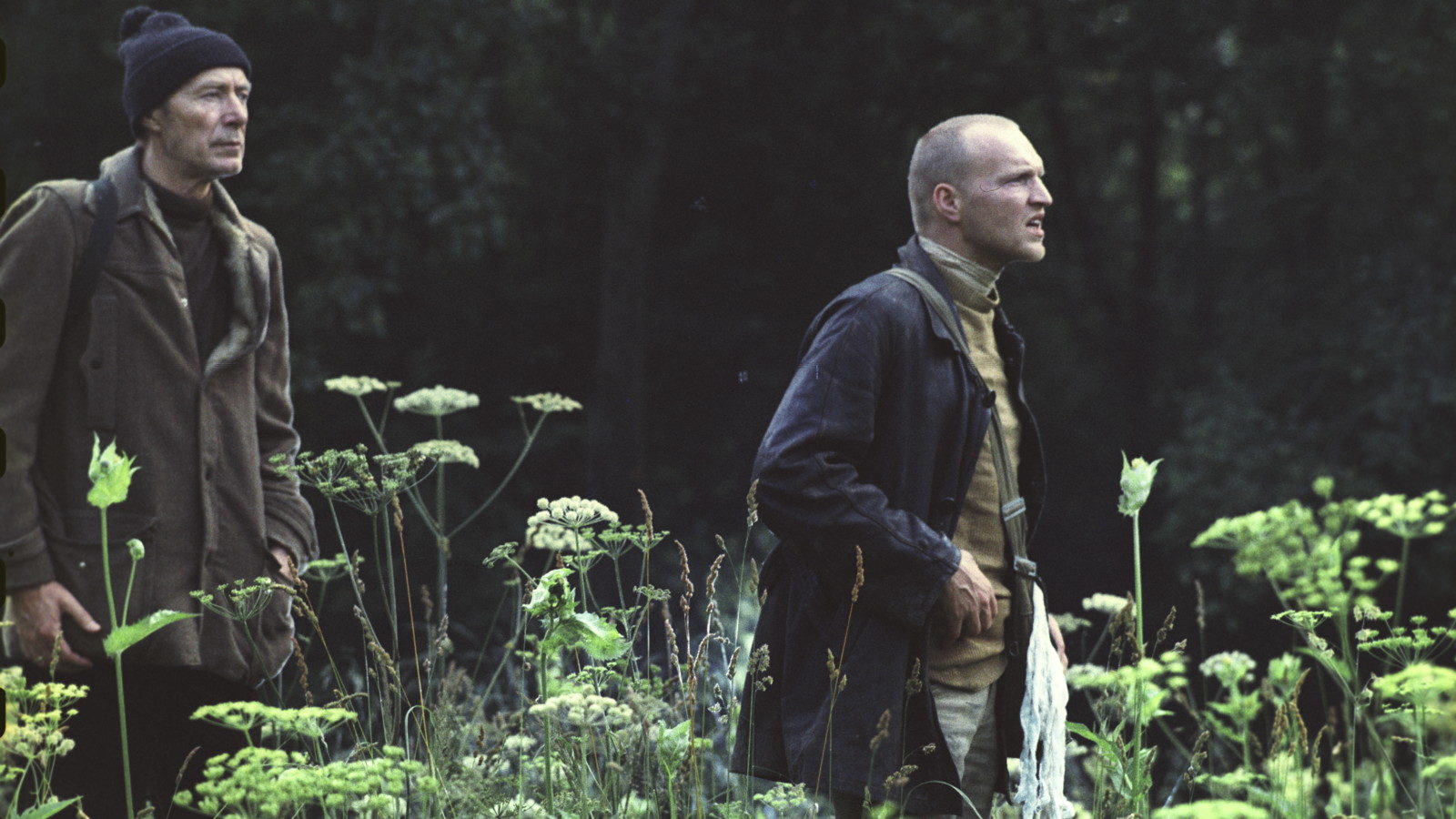 Dream Meaning of A Stalker