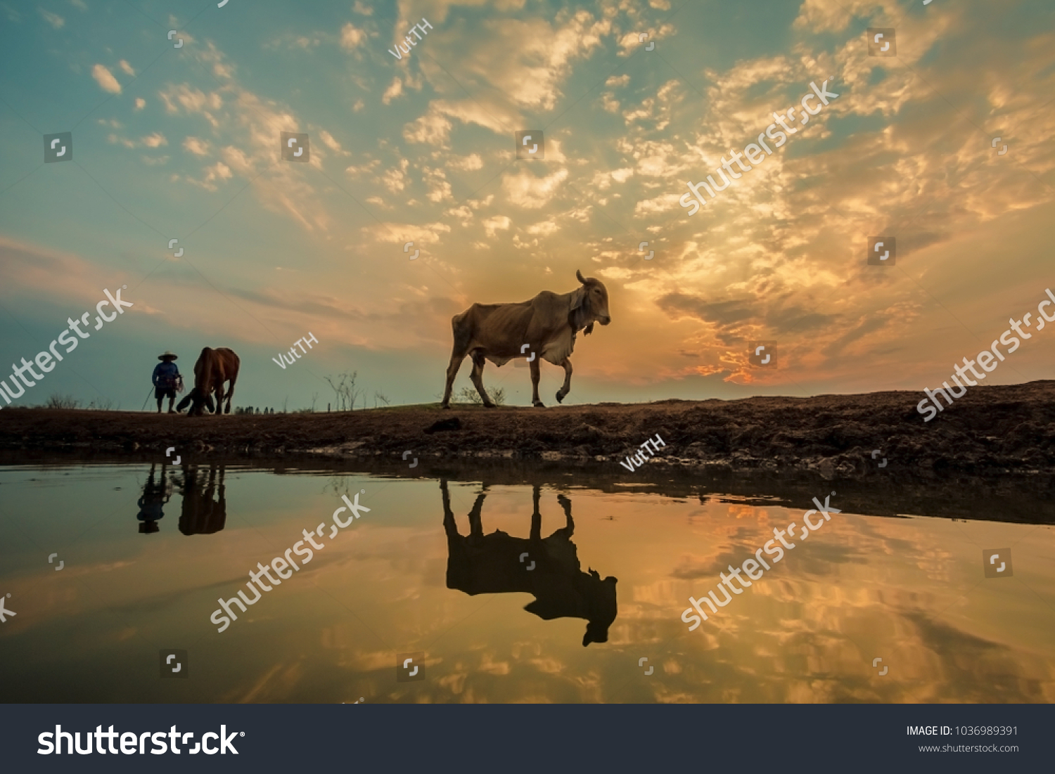 Dream Meaning of A Bull Chasing Me