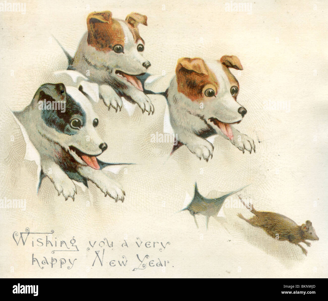 Dream Meaning of Dog Chasing Rat