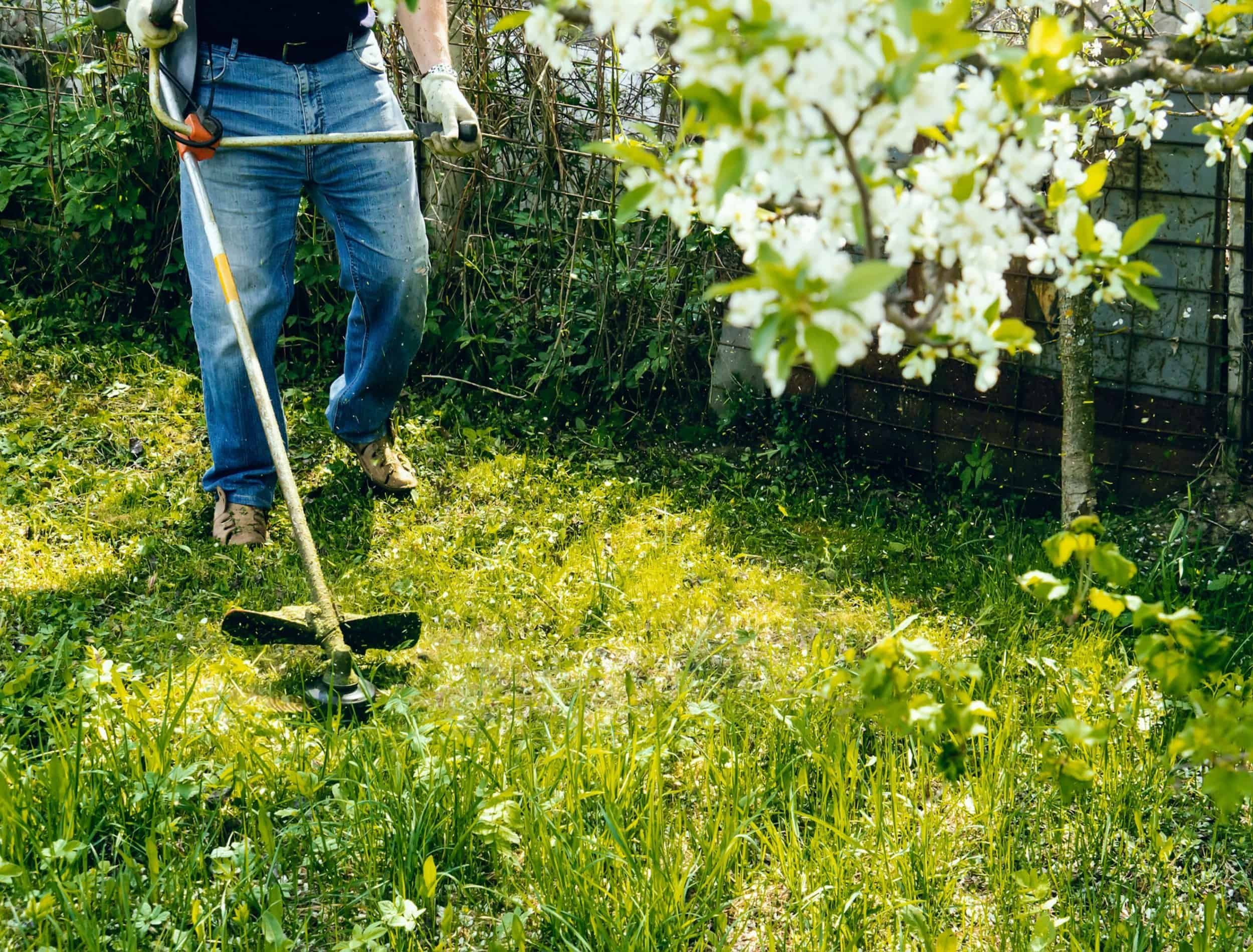 Dream Meaning of Clearing Weeds