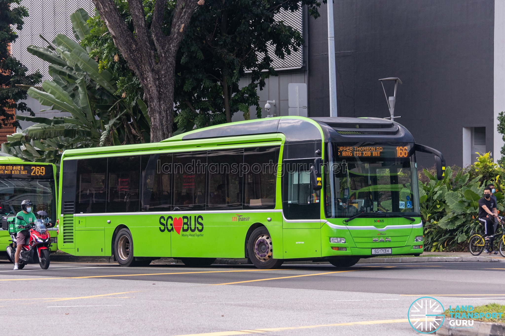 What Angel Number 166 Mean?