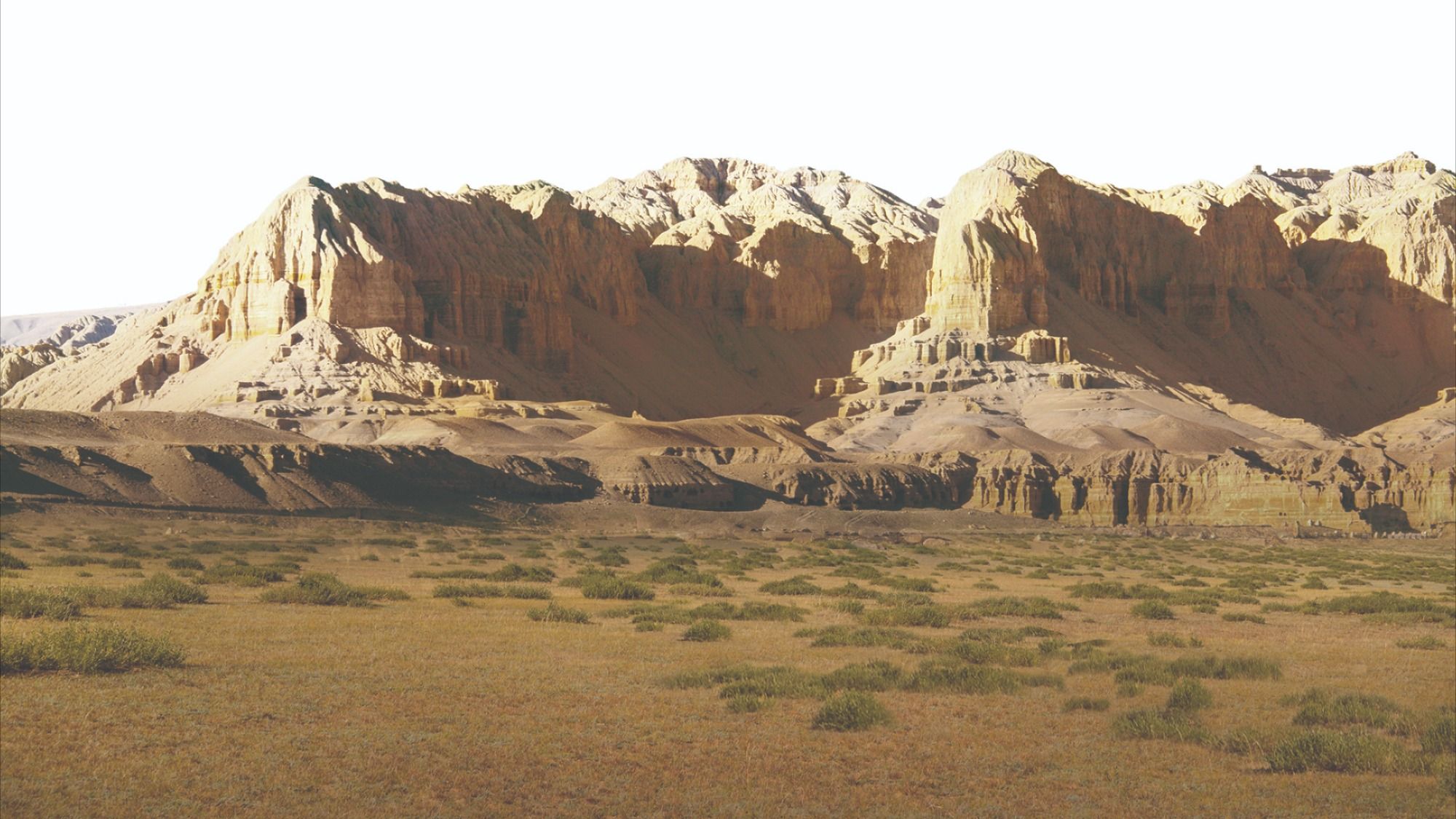 What Does Angel Number 1004 Mean?