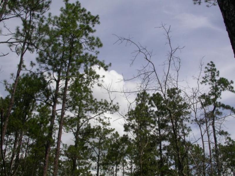 What Does Angel Number 719 Mean?