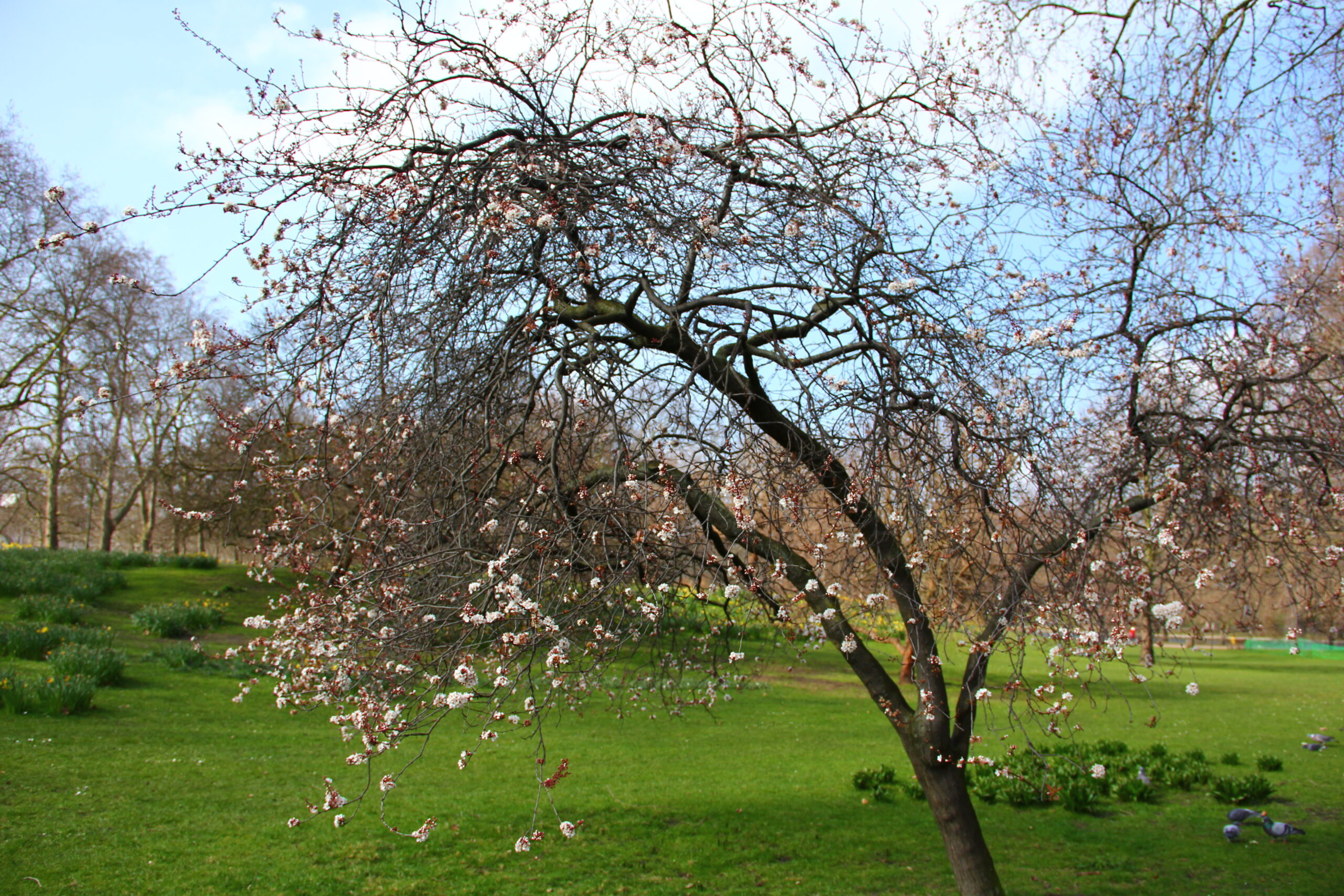 What Does Angel Number 3399 Mean?